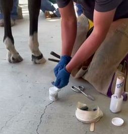 Applicator Guns, Tips & Supplies