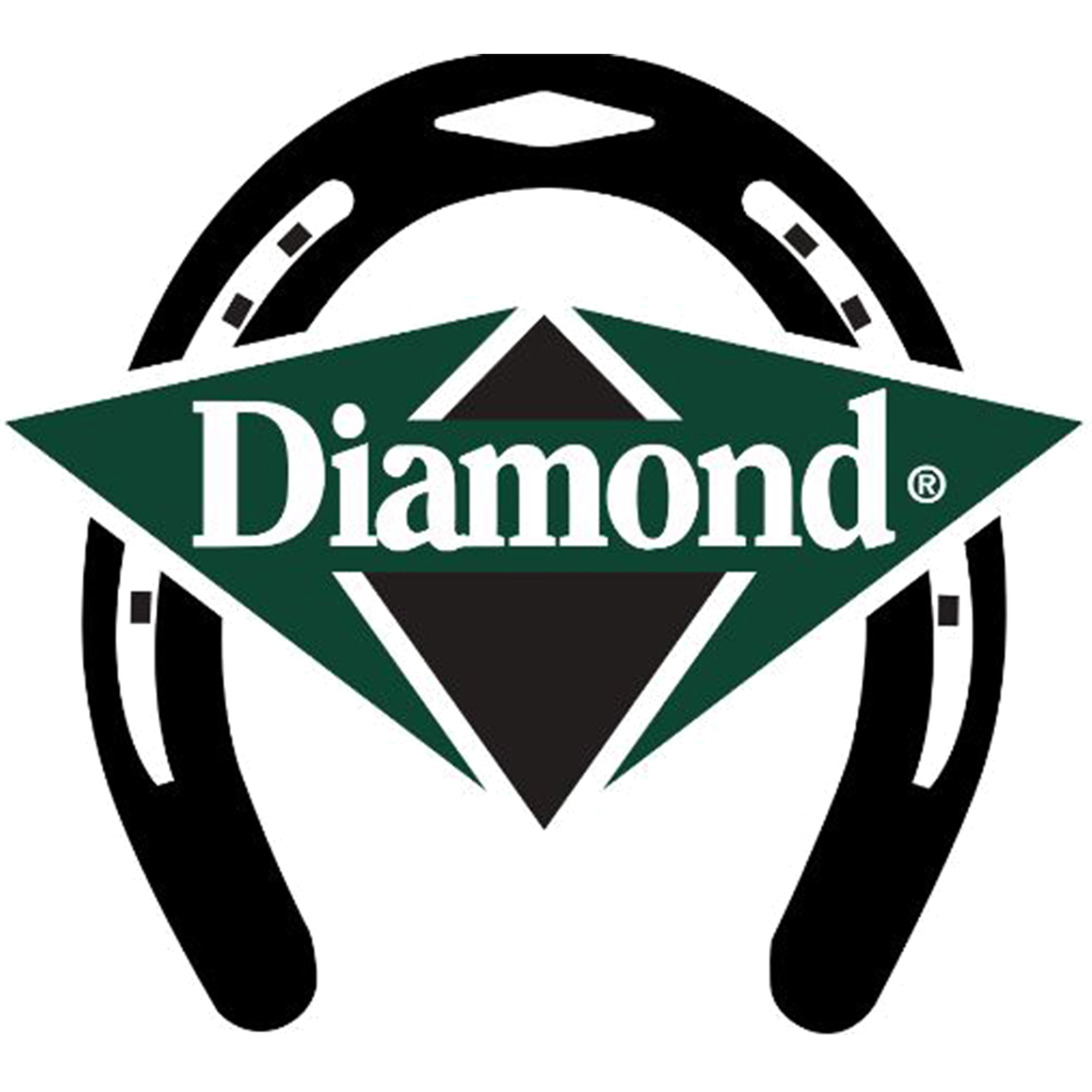Diamond Forge