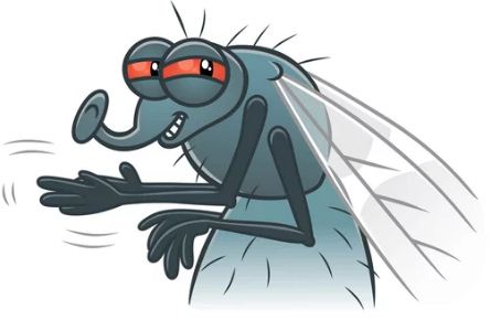 Fly Control