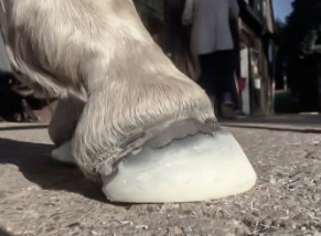 Hoof Glue