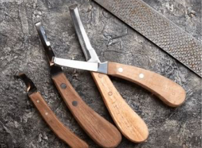 Knives & Sharpening