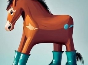 Pads for Hoof Care