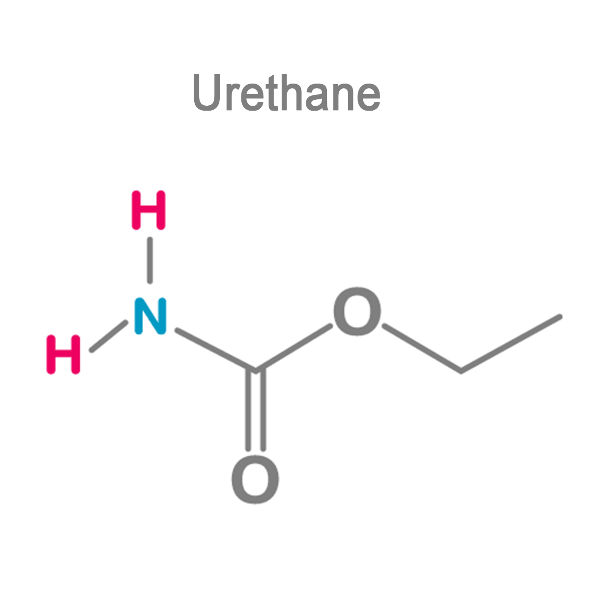Urethane Hoof Glue