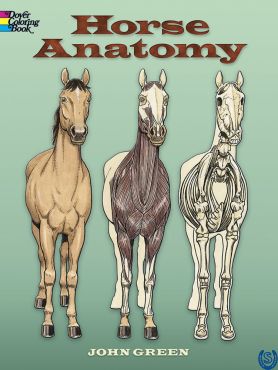 Horse Anatomy Coloring Book by John Green