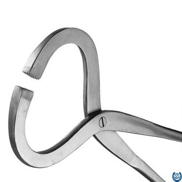 Horse Hoof Tester Flat Stainless Steel Stock