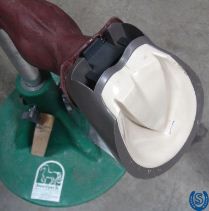 Diamond Farrier Training Hoof Capsule